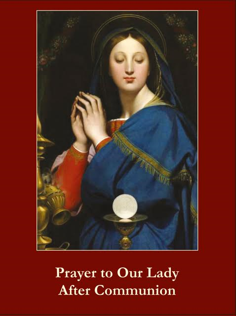 Prayer to Our Lady After Communion Holy Card***BUYONEGETONEFREE***