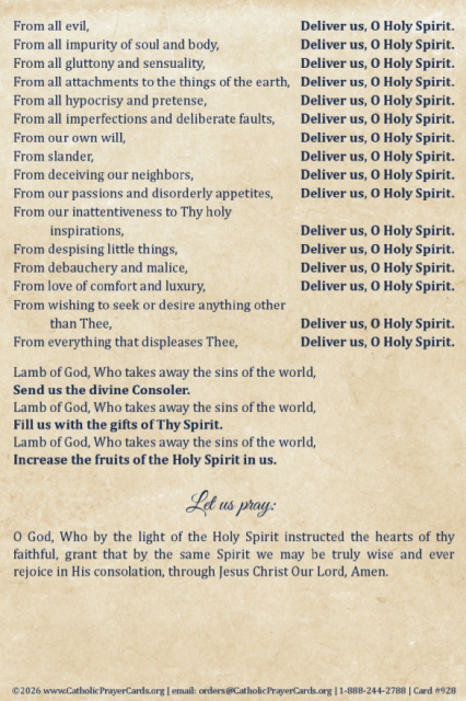 Catholic Church New Springtime of Evangelization Materials, Resources ...