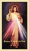 Divine Mercy Chaplet Prayer Card 