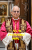 POPE LEO XIV POSTER FRAMEABLE PRINTS 